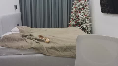 Ariana online show from 12-30-24, 12:11