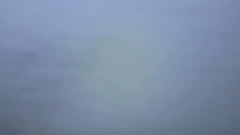 Ariana online show from 01-09-26, 07:04