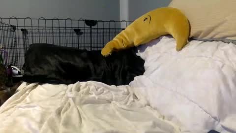 Snapshot of twinkybell chatting on 10-27-25, 04:27 twinkybell online show from 10-27-25, 04:27