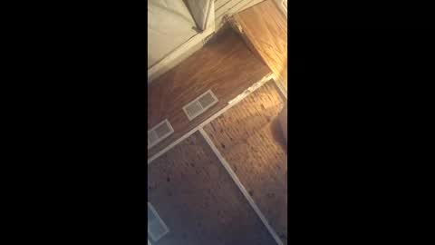 twistercouple3371 online show from 03-10-26, 04:06