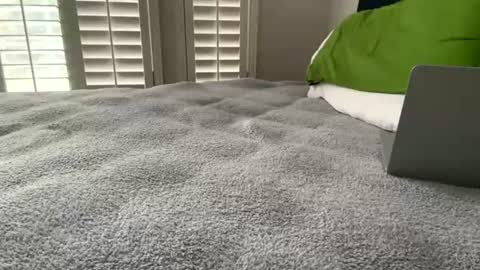 txguybi online show from 06-25-26, 06:23