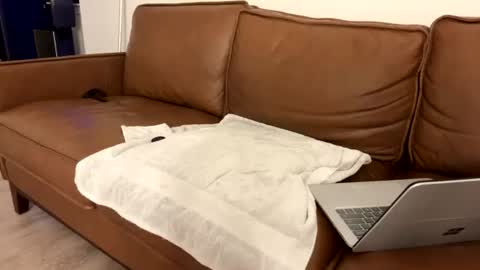 txguybi online show from 08-04-26, 03:53