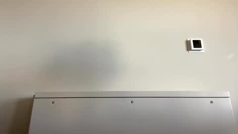 TylerC online show from 09-21-25, 06:09