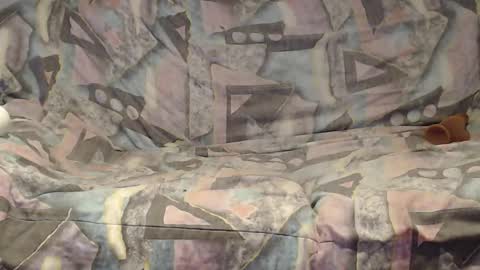 Helena and Tyson online show from 01-10-26, 04:47