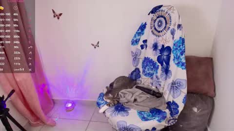 new INSTA   online show from 01-11-26, 02:16