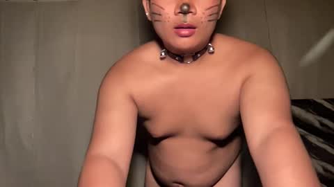 DA online show from 04-08-26, 03:56