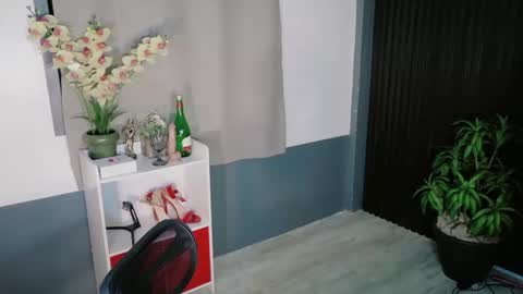 Snapshot of urfave_bbgirl chatting on 12-23-25, 09:29 urfave_bbgirl online show from 12-23-25, 09:29