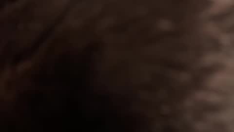 urmissalice online show from 02-22-26, 03:21