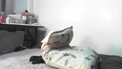 Rbabes online show from 02-03-26, 09:03