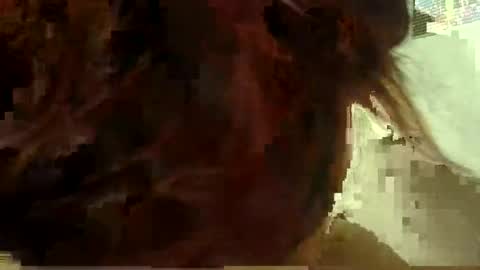 Aniie online show from 01-11-26, 05:12