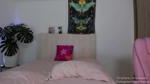    online show from 04-06-26, 11:16