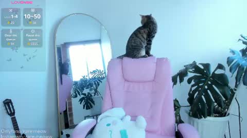    online show from 07-13-26, 10:12
