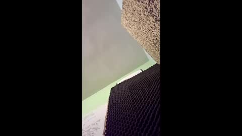 Snapshot of v3403454 chatting on 12-16-25, 11:54 v3403454 online show from 12-16-25, 11:54