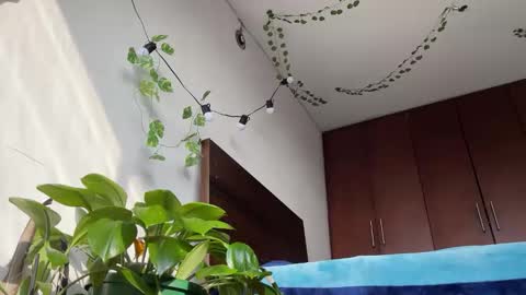   Valentin  independent Cam Boy     online show from 03-11-25, 12:39