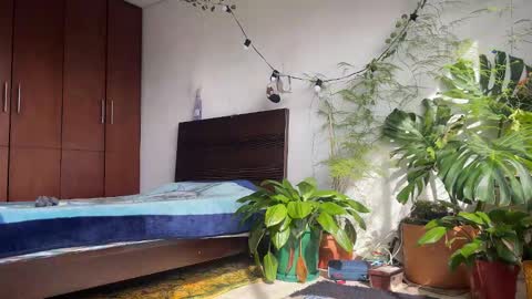   Valentin  independent Cam Boy     online show from 02-08-26, 01:47