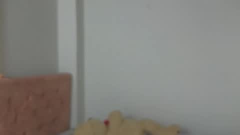 Snapshot of valery_lovex_ chatting on 10-10-25, 02:10 valery_lovex_ online show from 10-10-25, 02:10