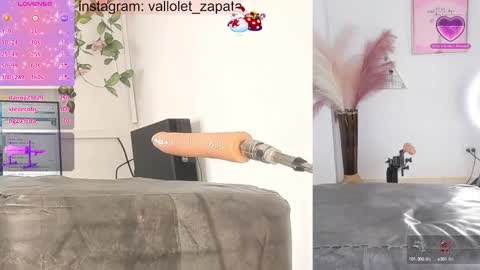 Snapshot of vallolet_smith_ chatting on 12-06-24, 08:48 yoselin online show from 12-06-24, 08:48