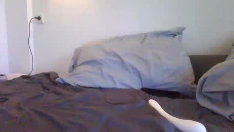 Snapshot of valure_lera chatting on 01-24-25, 10:51 valure_lera online show from 01-24-25, 10:51