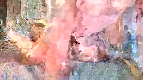 vanillasnackpack007 online show from 02-03-26, 05:40