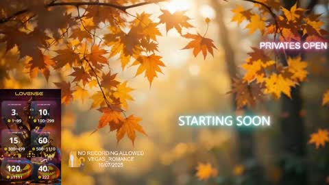 vegas_romance online show from 10-08-25, 01:36