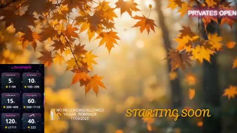 vegas_romance online show from 11-09-25, 11:25