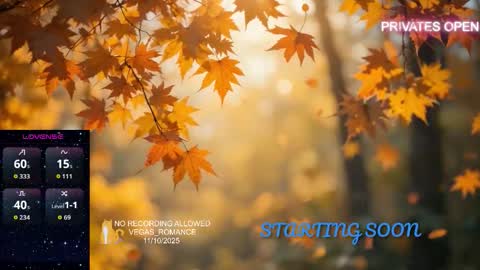 vegas_romance online show from 11-11-25, 12:43