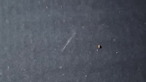 Snapshot of velvetsolez chatting on 03-22-26, 09:29 velvetsolez online show from 03-22-26, 09:29