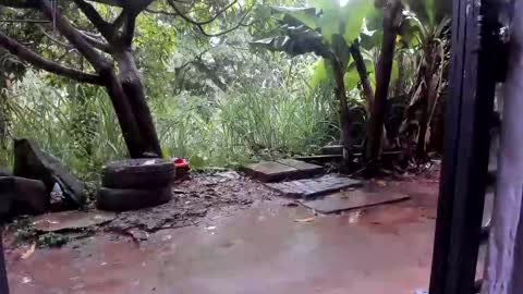 venus ... zeus sheer  online show from 10-27-25, 01:37