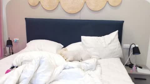 Violetta  online show from 12-02-25, 03:23