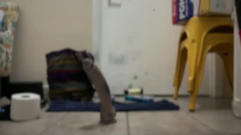 Hmartinez365 online show from 09-22-25, 02:02