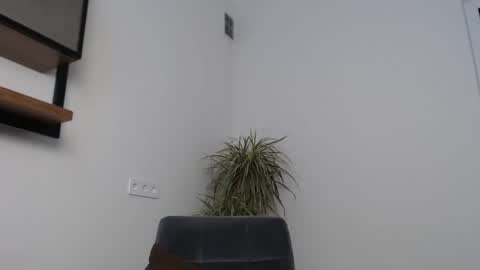 veronik_shy online show from 02-12-26, 08:42