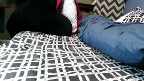 Snapshot of vexnew chatting on 02-21-26, 09:38 Vexnew online show from 02-21-26, 09:38