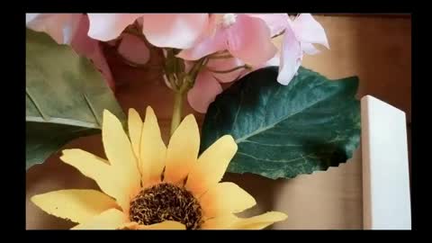 vickyvalencia2 online show from 05-04-26, 02:02