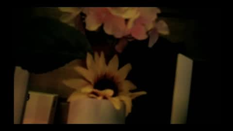 vickyvalencia2 online show from 05-05-26, 02:30