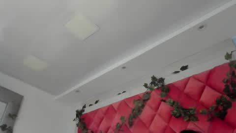 Snapshot of victoriawills_ chatting on 03-12-25, 11:44 ADRIANA online show from 03-12-25, 11:44