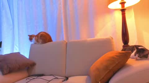 Snapshot of viiolet_collins chatting on 06-15-26, 02:25 VIOLET online show from 06-15-26, 02:25