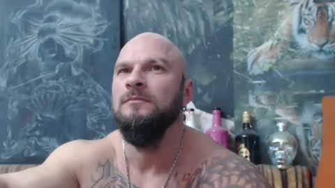 viking online show from 11-08-25, 07:56