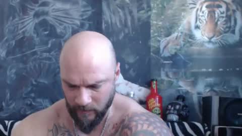 viking online show from 04-12-26, 06:07