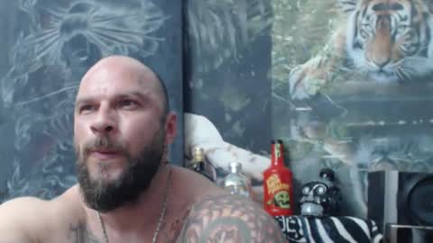 viking online show from 04-16-26, 06:41