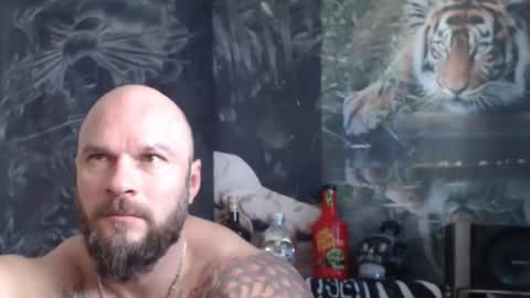 viking online show from 04-22-26, 06:38