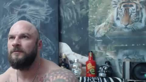 viking online show from 04-22-26, 06:53