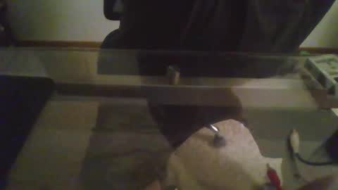 vinchase5000 online show from 01-11-26, 05:12