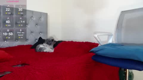 vinzent_lafed_ online show from 10-05-25, 07:39