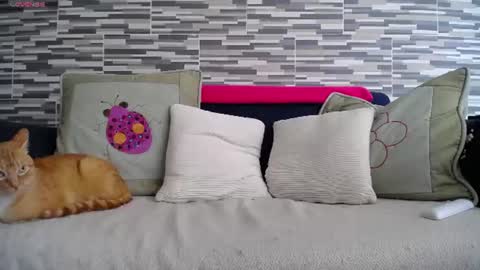 Snapshot of violetagomez_co chatting on 07-07-26, 04:11 Violeta Gmez online show from 07-07-26, 04:11
