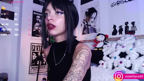 Snapshot of violettlane chatting on 12-11-24, 04:28 Violeta online show from 12-11-24, 04:28