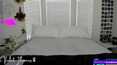 Violet Flowers online show from 09-08-25, 05:12