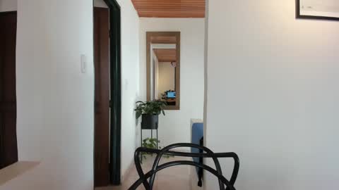 Vito Ferrer online show from 02-07-25, 02:47