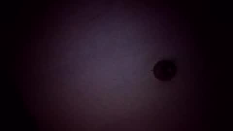 vujadetr online show from 02-21-26, 08:04