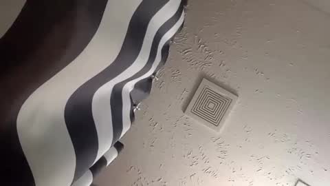 wanttowatch87 online show from 12-25-24, 05:58