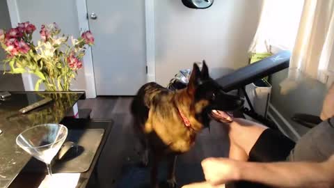 wasted_daze_ online show from 03-11-26, 10:38